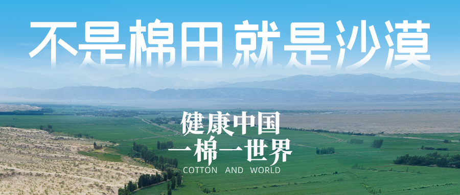 链接世界，引领健全生涯，瓦力游戏集团受邀亮相首届链博会